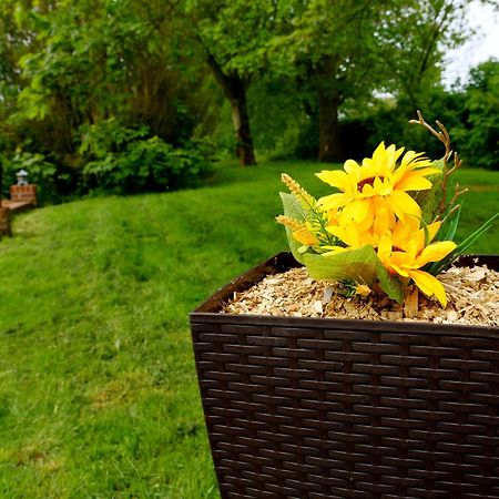 Deluxe 4 Or 5 Bed House With Hot Tub, Cinema Room Sleeps 15 Saffron Walden Zewnętrze zdjęcie
