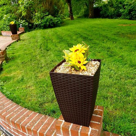 Deluxe 4 Or 5 Bed House With Hot Tub, Cinema Room Sleeps 15 Saffron Walden Zewnętrze zdjęcie